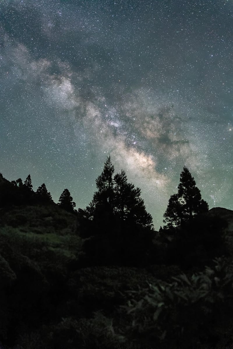 Starry Sky Backdrop